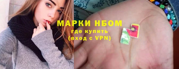 прущие грибы Верхний Тагил